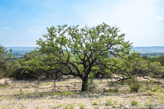 Listing photo id 23 for 445 Dark Sky Path