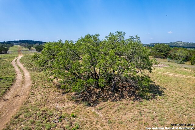 Listing photo id 3 for 445 Dark Sky Path