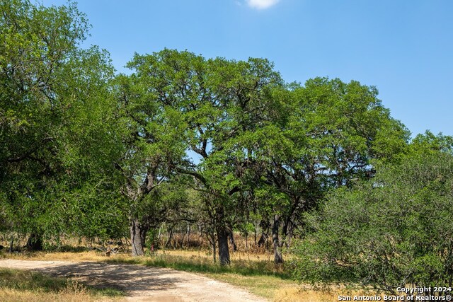 Listing photo id 5 for 445 Dark Sky Path