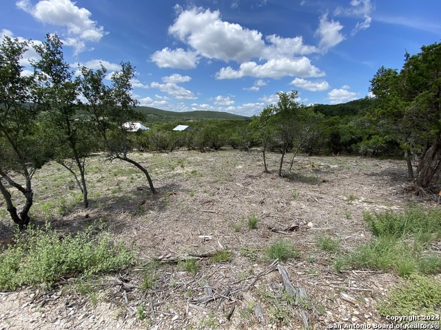 Details for Lot 391 Pr 1748, Mico, TX 78056