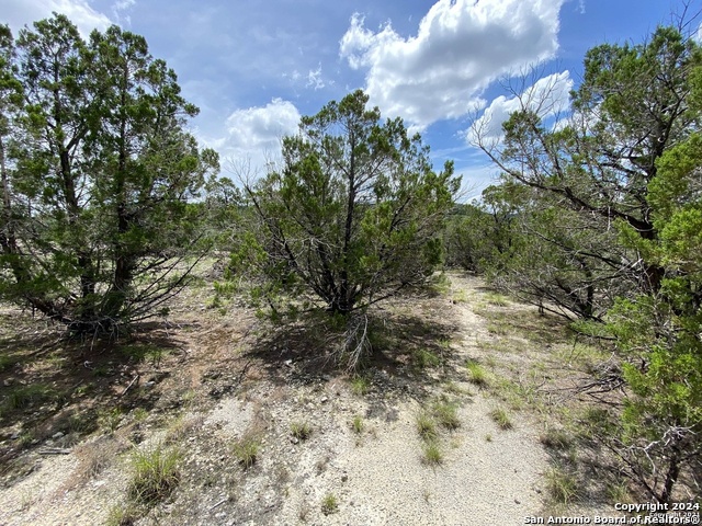 Image 18 of 27 For Lot 391 Pr 1748