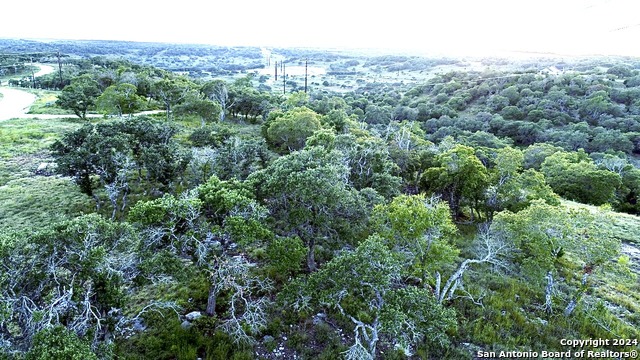 Image 4 of 7 For Lot 49 Twisted Oak