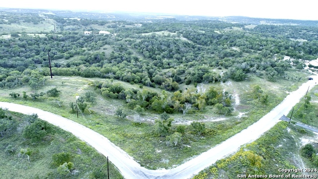 Image 7 of 7 For Lot 49 Twisted Oak