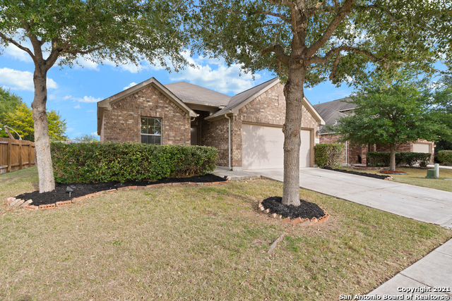 Details for 3113 Muntjac, Schertz, TX 78154