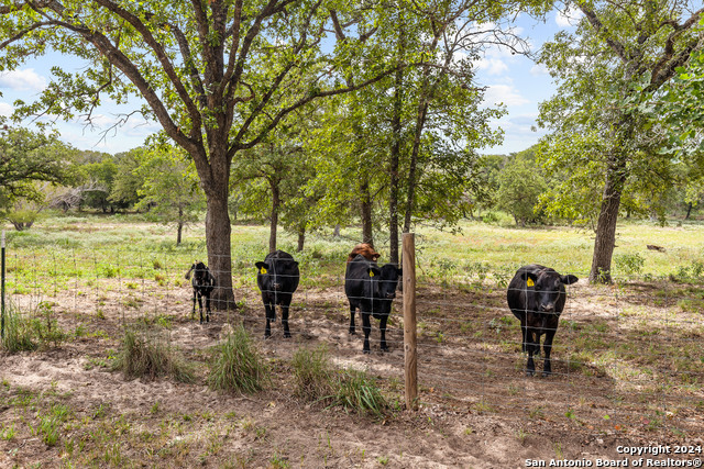 Image 8 of 84 For 332-266 Polly Ln