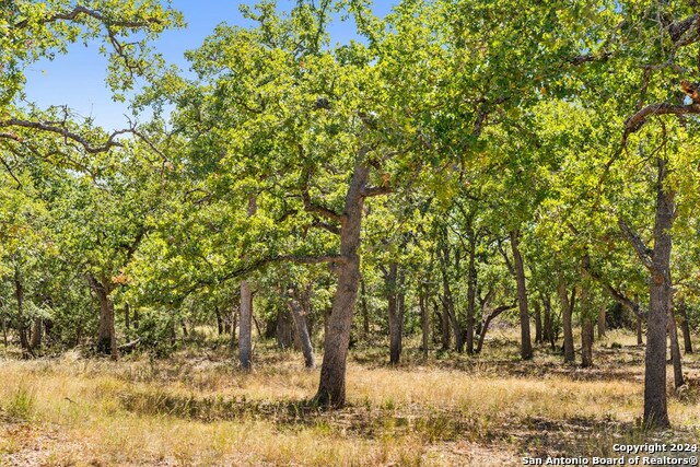 Details for Tbd Herbert-schaefer, Fredericksburg, TX 78624