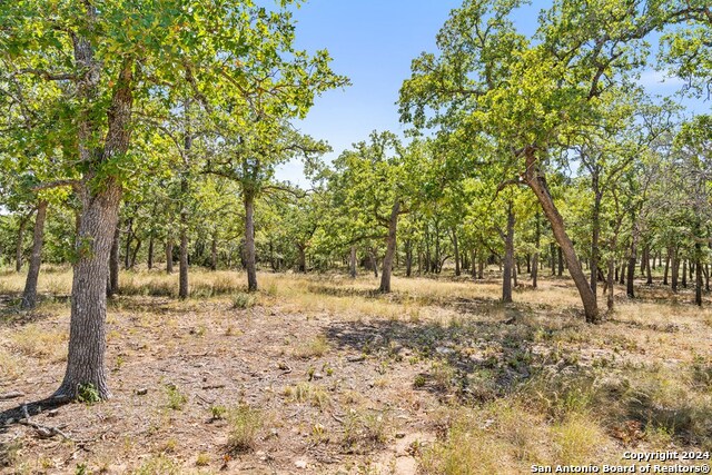 Image 10 of 41 For Tbd Herbert-schaefer