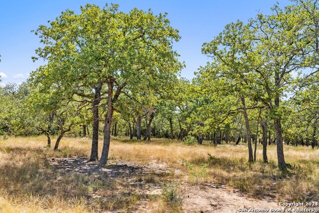 Image 14 of 41 For Tbd Herbert-schaefer