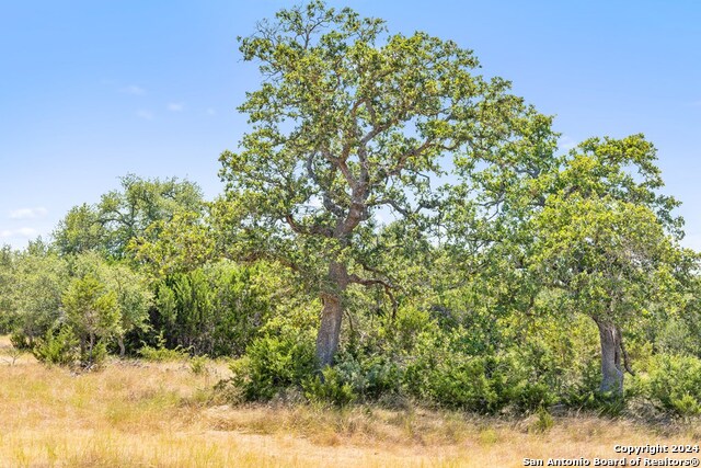 Image 15 of 41 For Tbd Herbert-schaefer