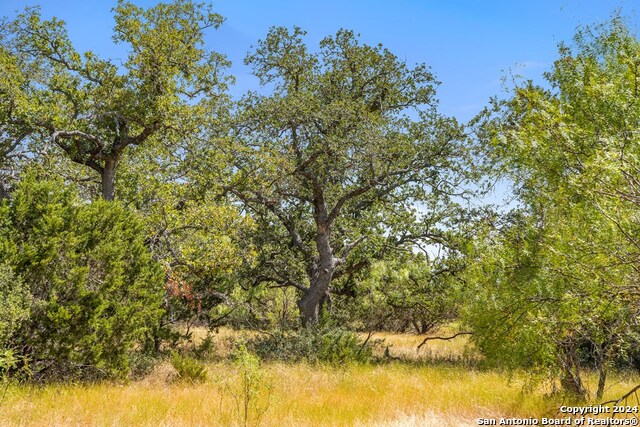 Image 18 of 41 For Tbd Herbert-schaefer