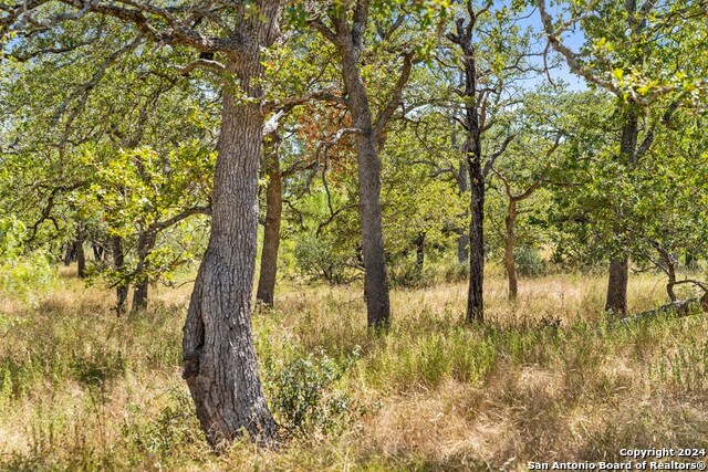 Image 2 of 41 For Tbd Herbert-schaefer