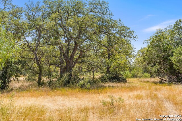 Image 21 of 41 For Tbd Herbert-schaefer