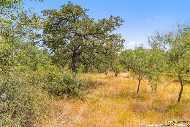 Image 22 of 41 For Tbd Herbert-schaefer