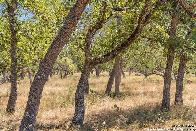 Image 23 of 41 For Tbd Herbert-schaefer