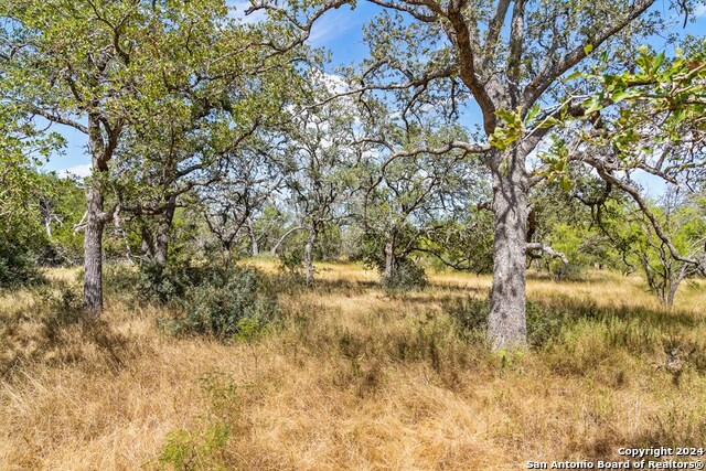 Image 4 of 41 For Tbd Herbert-schaefer