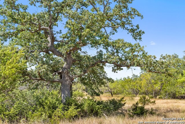 Image 5 of 41 For Tbd Herbert-schaefer