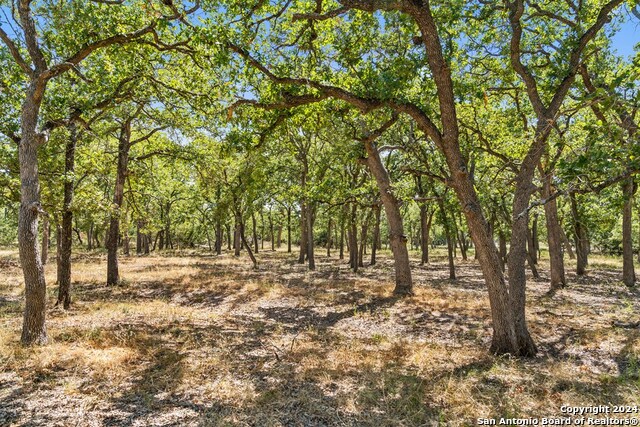 Image 8 of 41 For Tbd Herbert-schaefer