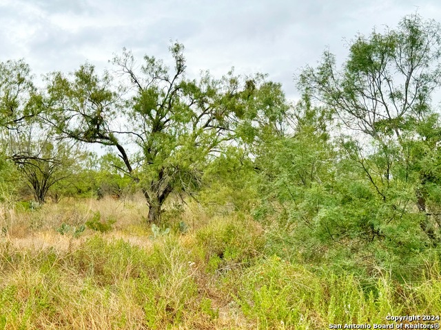 Details for 103 Cr 2636  , Devine, TX 78016