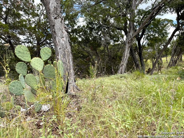 Image 2 of 9 For 1220 Lakeside Dr