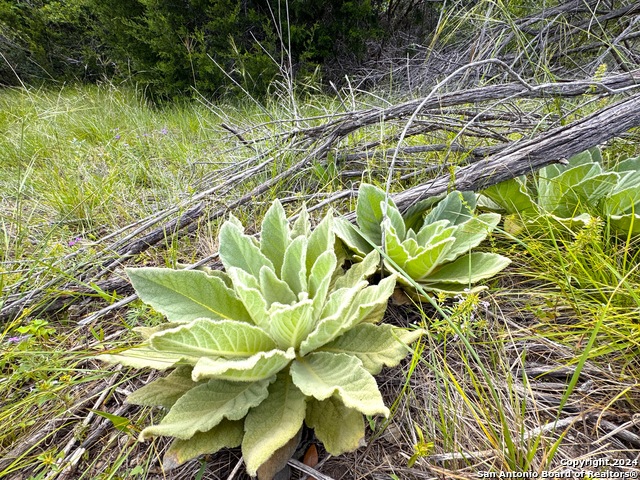 Image 8 of 9 For 1220 Lakeside Dr