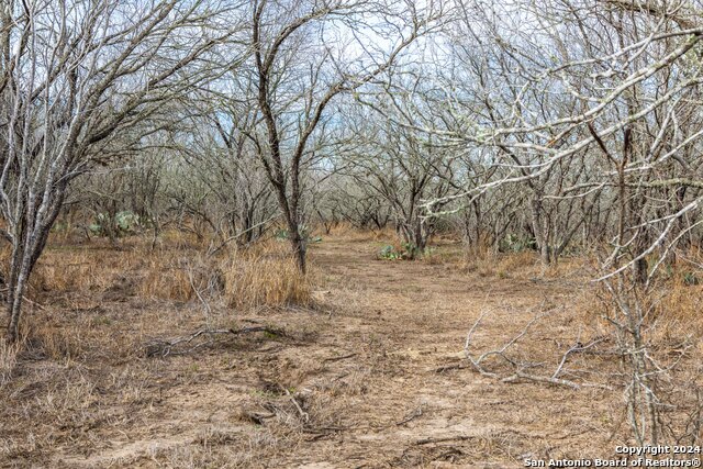 Image 11 of 23 For 000 Mineral Cemetery Rd