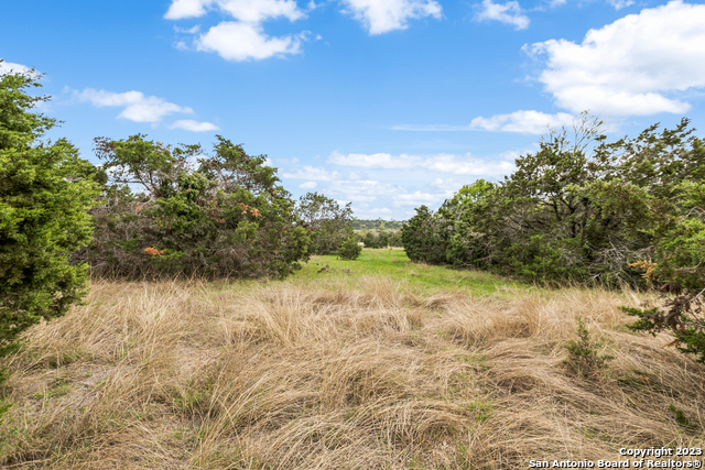 Image 16 of 18 For Lot 32 Paradise Parkway