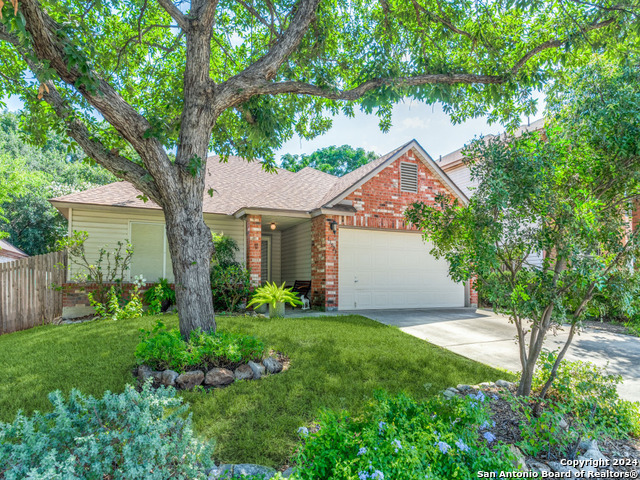 Details for 13523 Hickory Legend, San Antonio, TX 78247