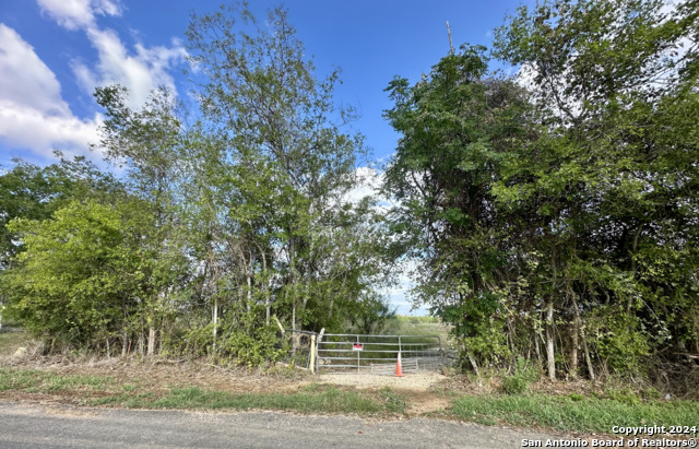 Details for 14150 Luckey Rd, Atascosa, TX 78002