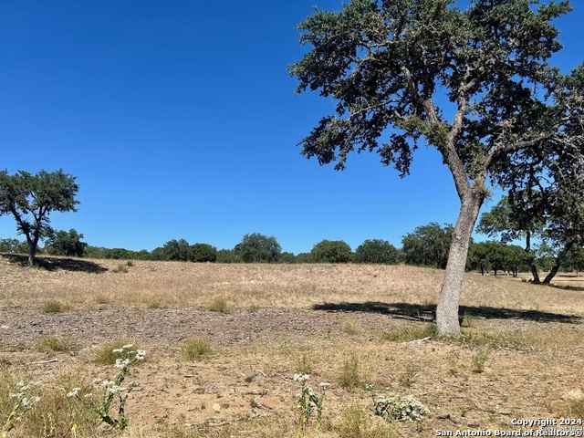 Details for Lot 4 Elk Mountain Ranch, Pipe Creek, TX 78063