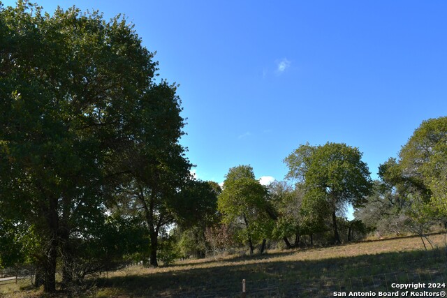 Image 8 of 8 For Tbd Lot 327 County Road 6875