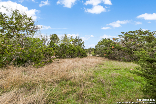 Image 11 of 15 For Lot 33 Paradise Parkway