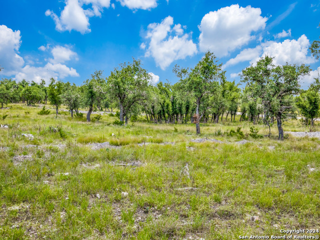 Listing photo id 8 for Lot 24 Brooklyn Drive