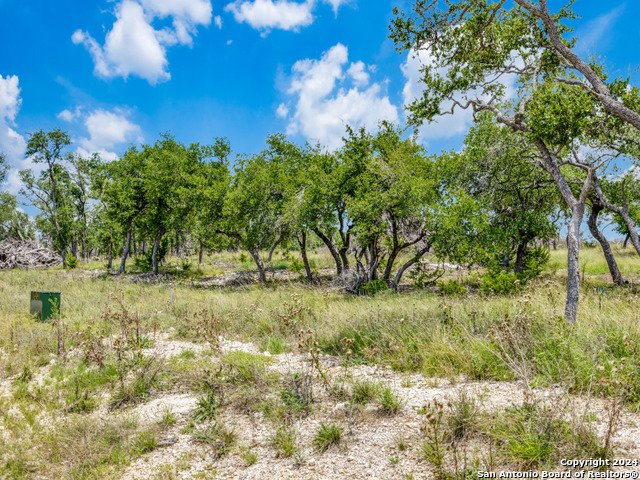 Listing photo id 9 for Lot 24 Brooklyn Drive