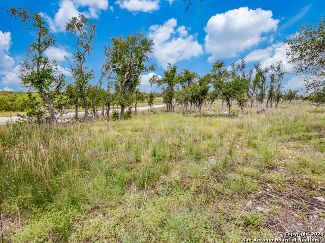 Listing photo id 11 for Lot 24 Brooklyn Drive