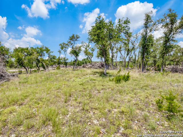 Listing photo id 7 for Lot 24 Brooklyn Drive