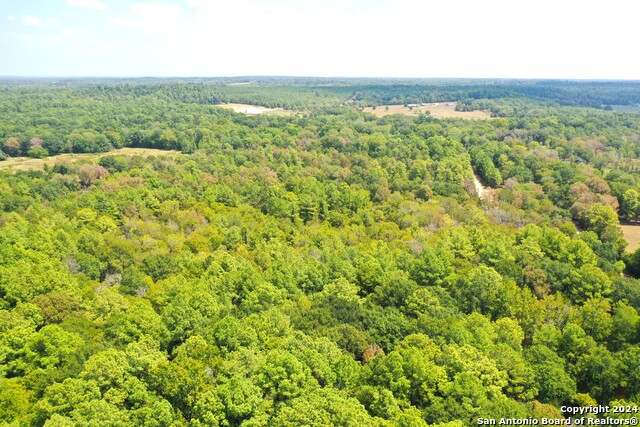Image 9 of 18 For 0 Bracewell Dr