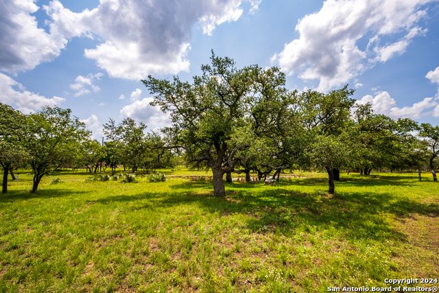 Image 14 of 37 For 155 Ranchland Dr