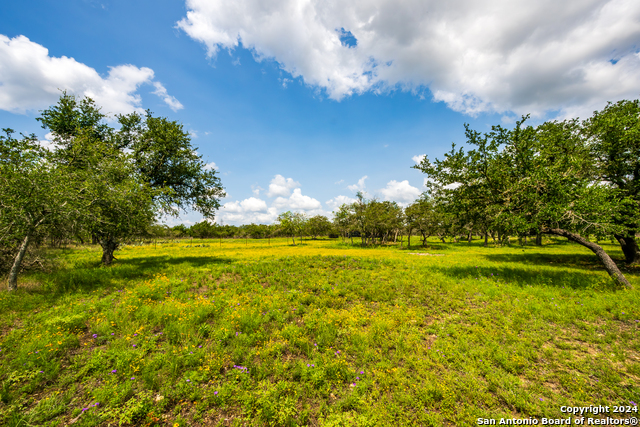 Image 16 of 37 For 155 Ranchland Dr