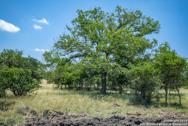 Image 11 of 14 For 5762 Texas 27