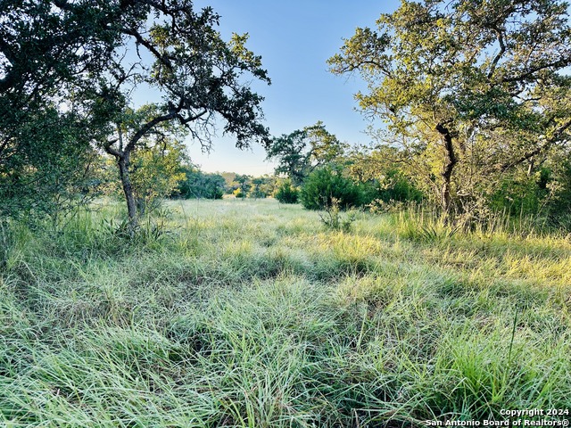 Image 8 of 11 For 86 High Point Ranch