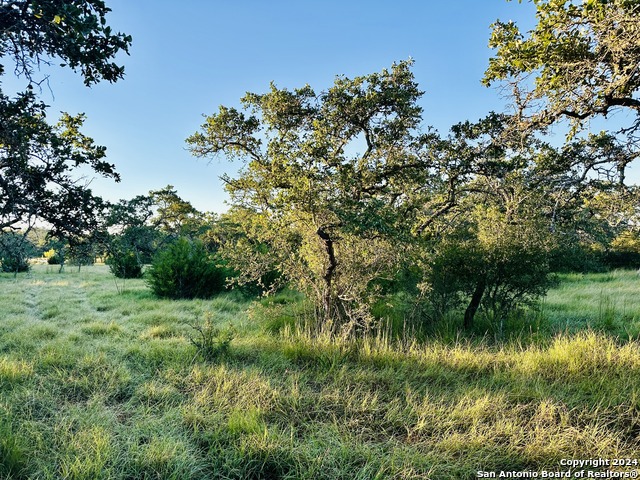 Image 9 of 11 For 86 High Point Ranch