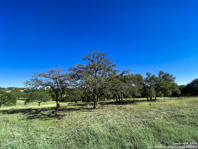 Image 10 of 21 For Lot 155 Loma Vista Ranch