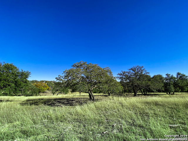 Image 11 of 21 For Lot 155 Loma Vista Ranch