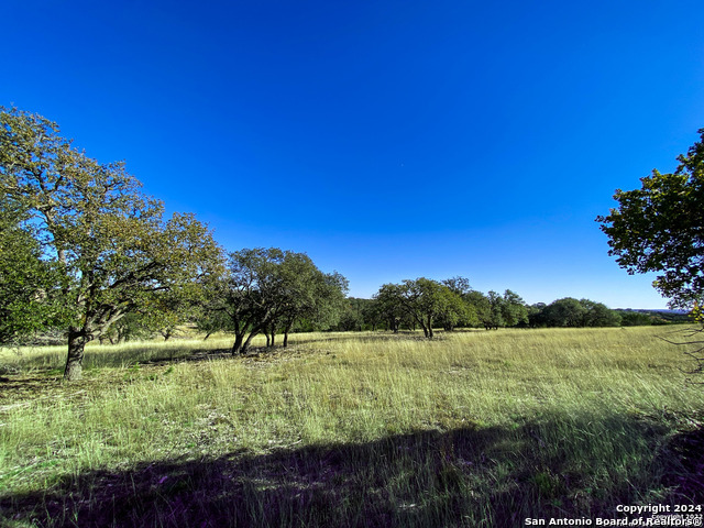 Image 13 of 21 For Lot 155 Loma Vista Ranch