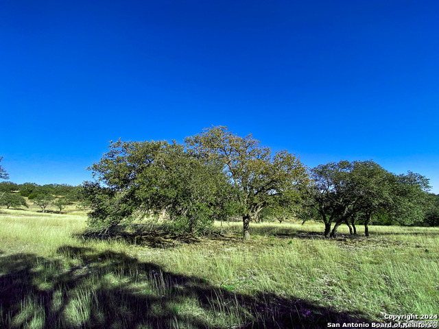 Image 14 of 21 For Lot 155 Loma Vista Ranch