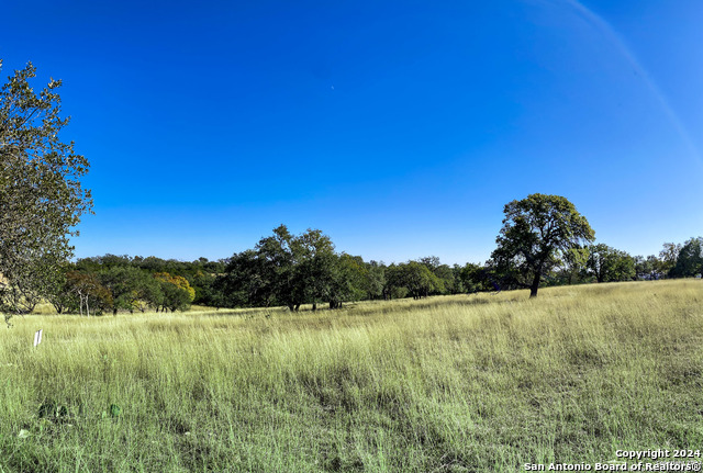 Image 17 of 21 For Lot 155 Loma Vista Ranch