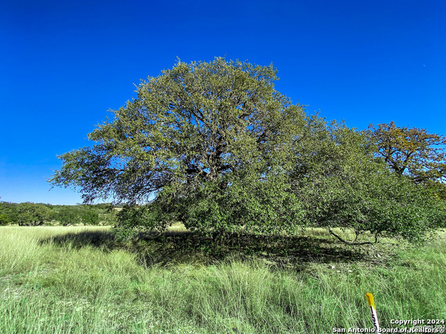 Image 3 of 21 For Lot 155 Loma Vista Ranch