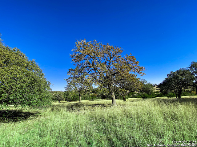 Image 4 of 21 For Lot 155 Loma Vista Ranch