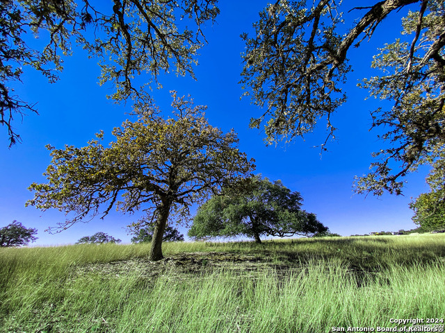 Image 5 of 21 For Lot 155 Loma Vista Ranch