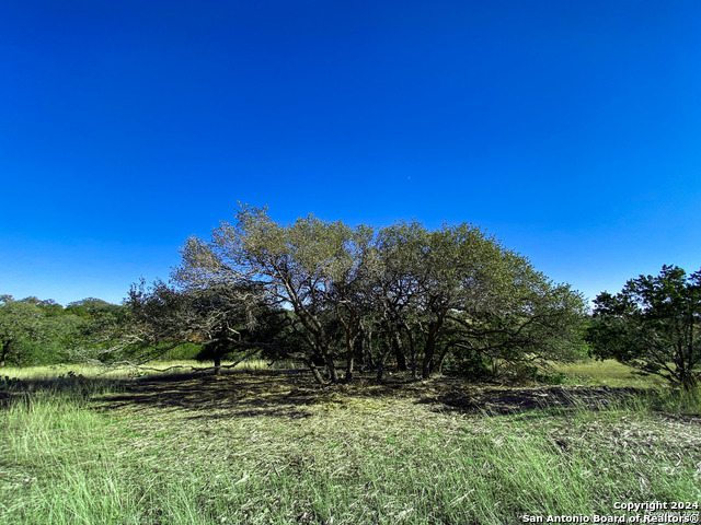 Image 6 of 21 For Lot 155 Loma Vista Ranch